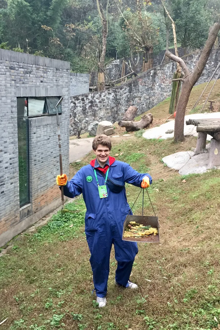 Chengdu Panda Tour – Volunteering at Dujiangyan (Wolong) Panda Base