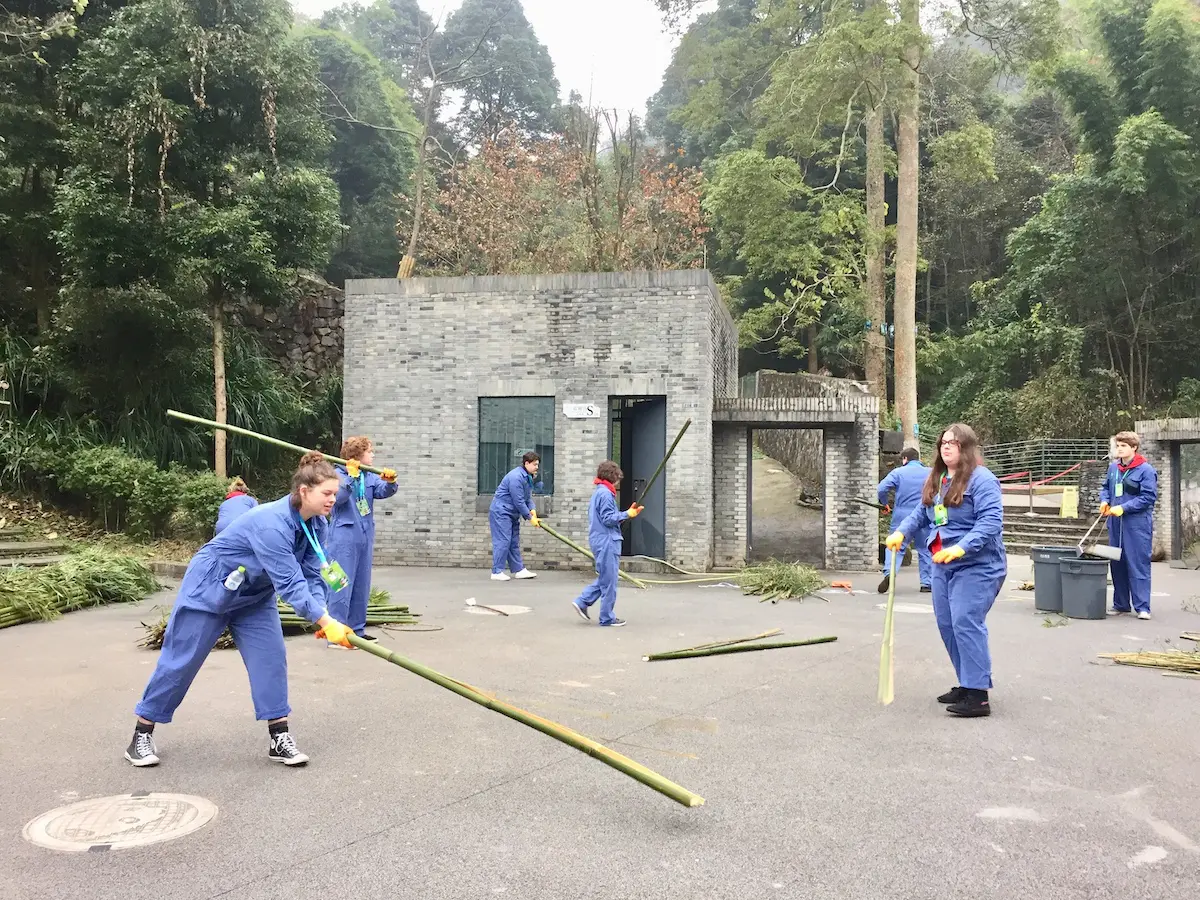 Chengdu Panda Tour – Volunteering at Dujiangyan (Wolong) Panda Base