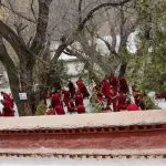 Sera monastery monks debating tibet tour