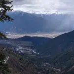 great views at lulang forest in nyingchi