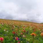 Litang town on way to daocheng