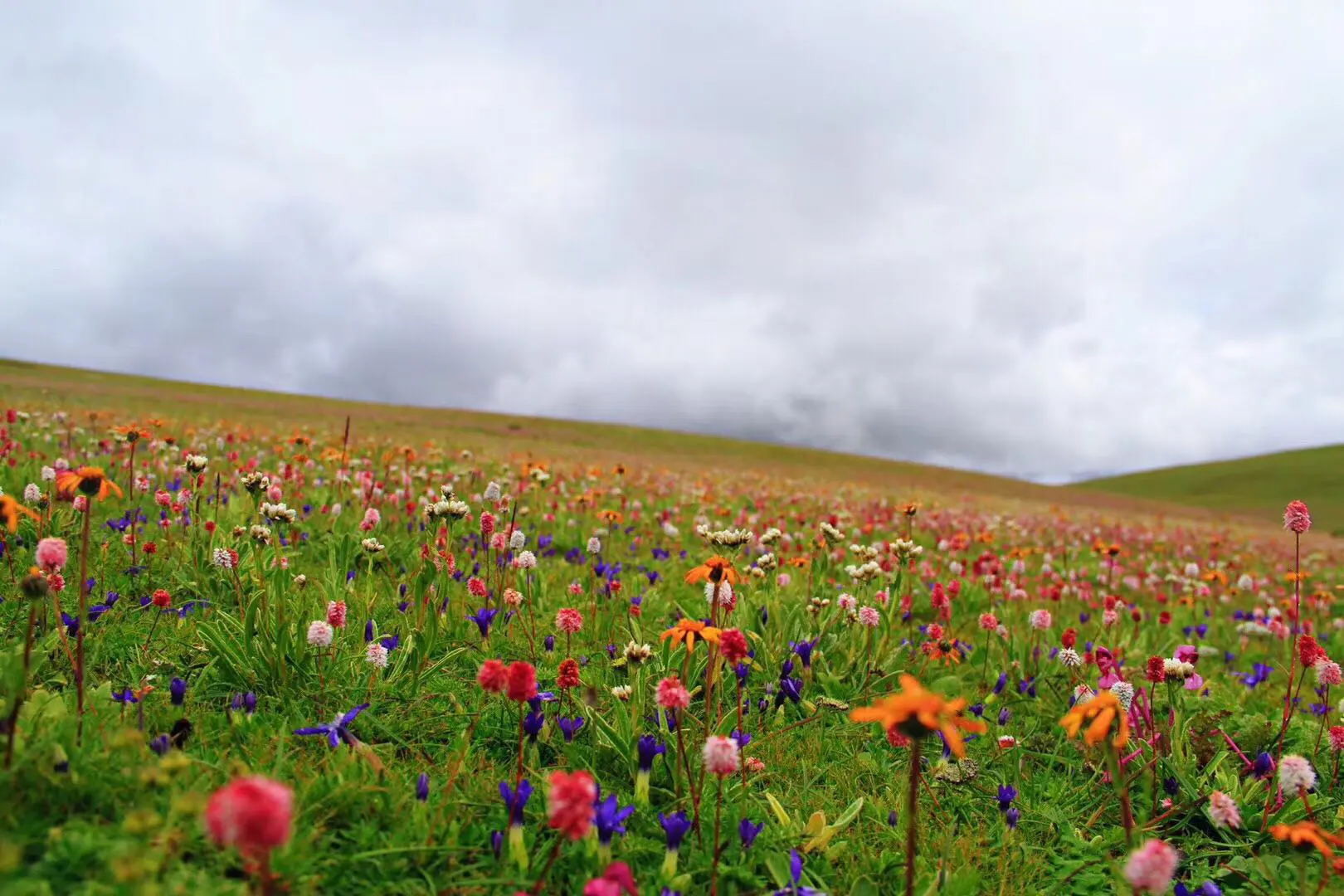 Litang town on way to daocheng