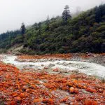 Moxi-Red-Stone-Beach-On-the-Way-to-Yading