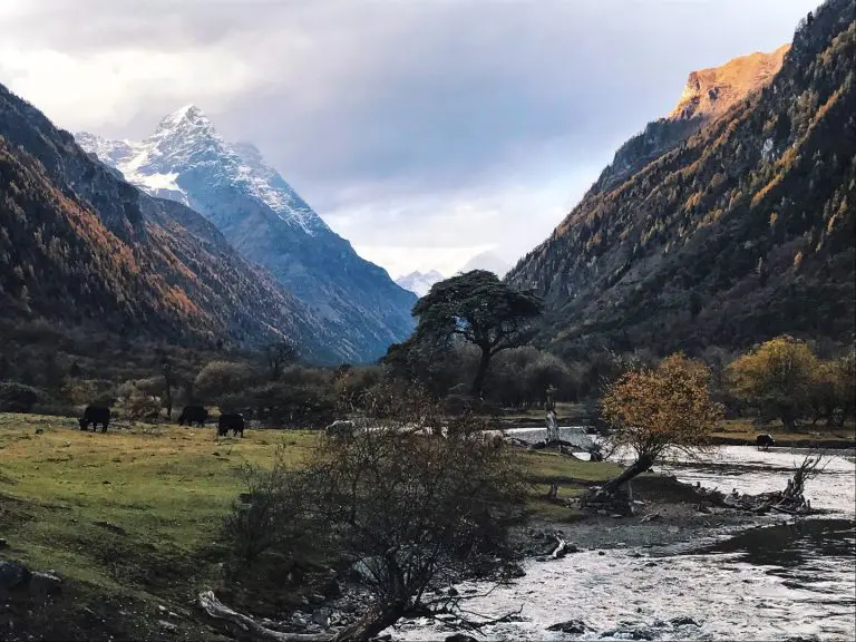Changping valley at Mount Siguniang
