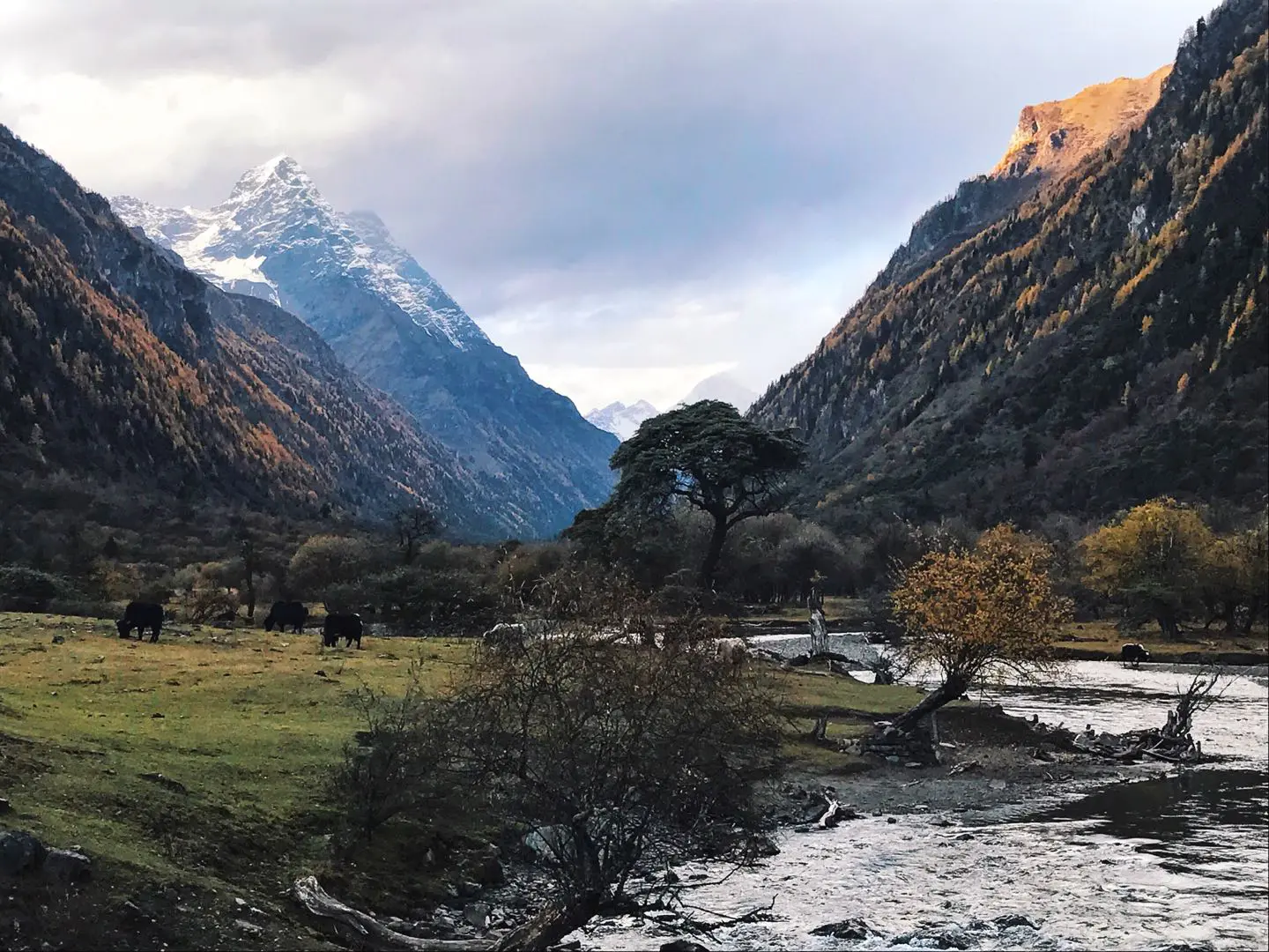 changping-valley-at-mount-siguniang