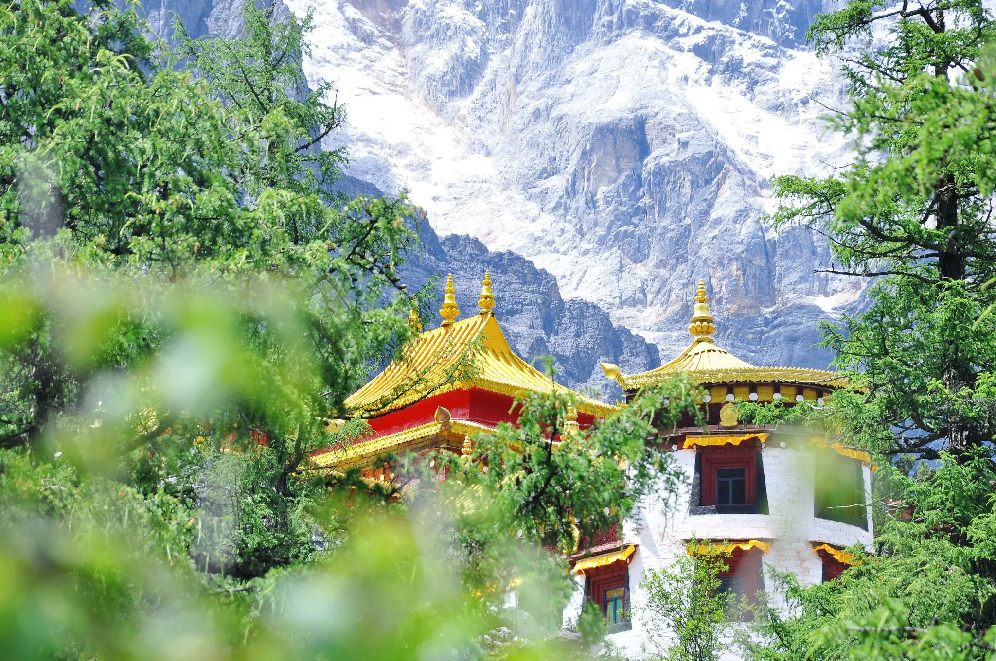 chonggu-temple-Yading-nature-reserve
