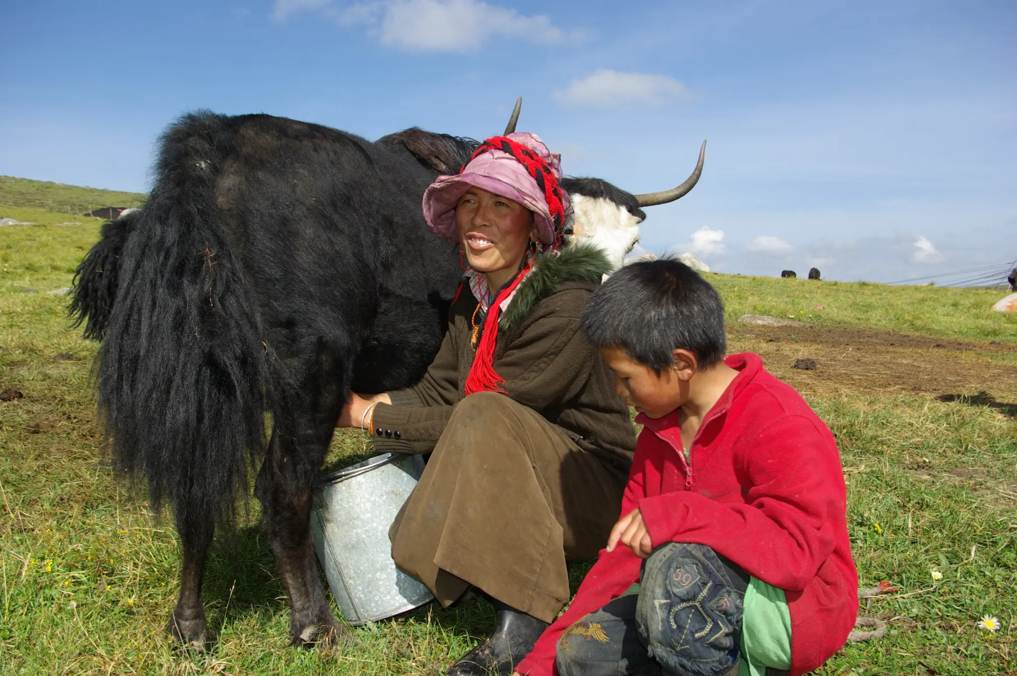 nomad-at-tagong-grassland
