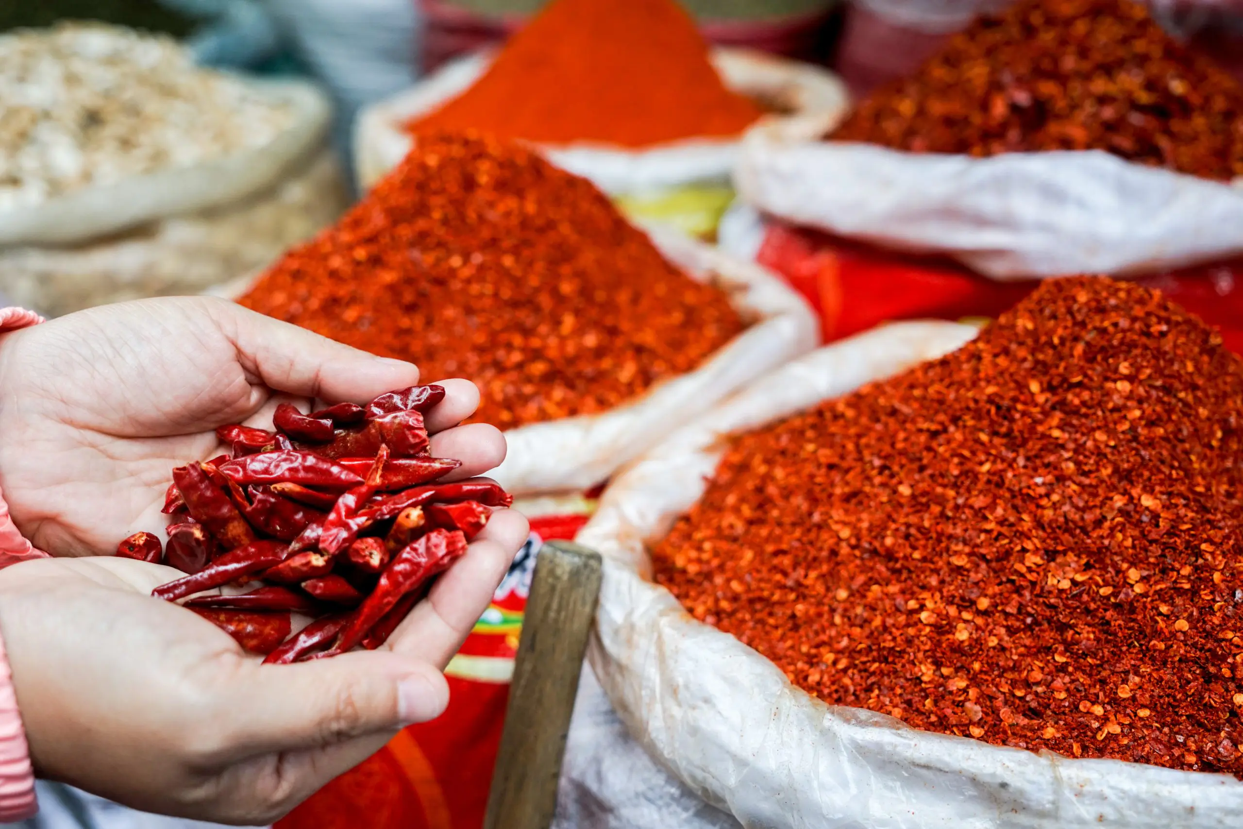 Chengdu Wukuaishi wholesale tea and spice market