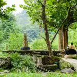 Dujiangyan panda center