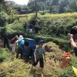 Farming in Guizhou ethnic villages