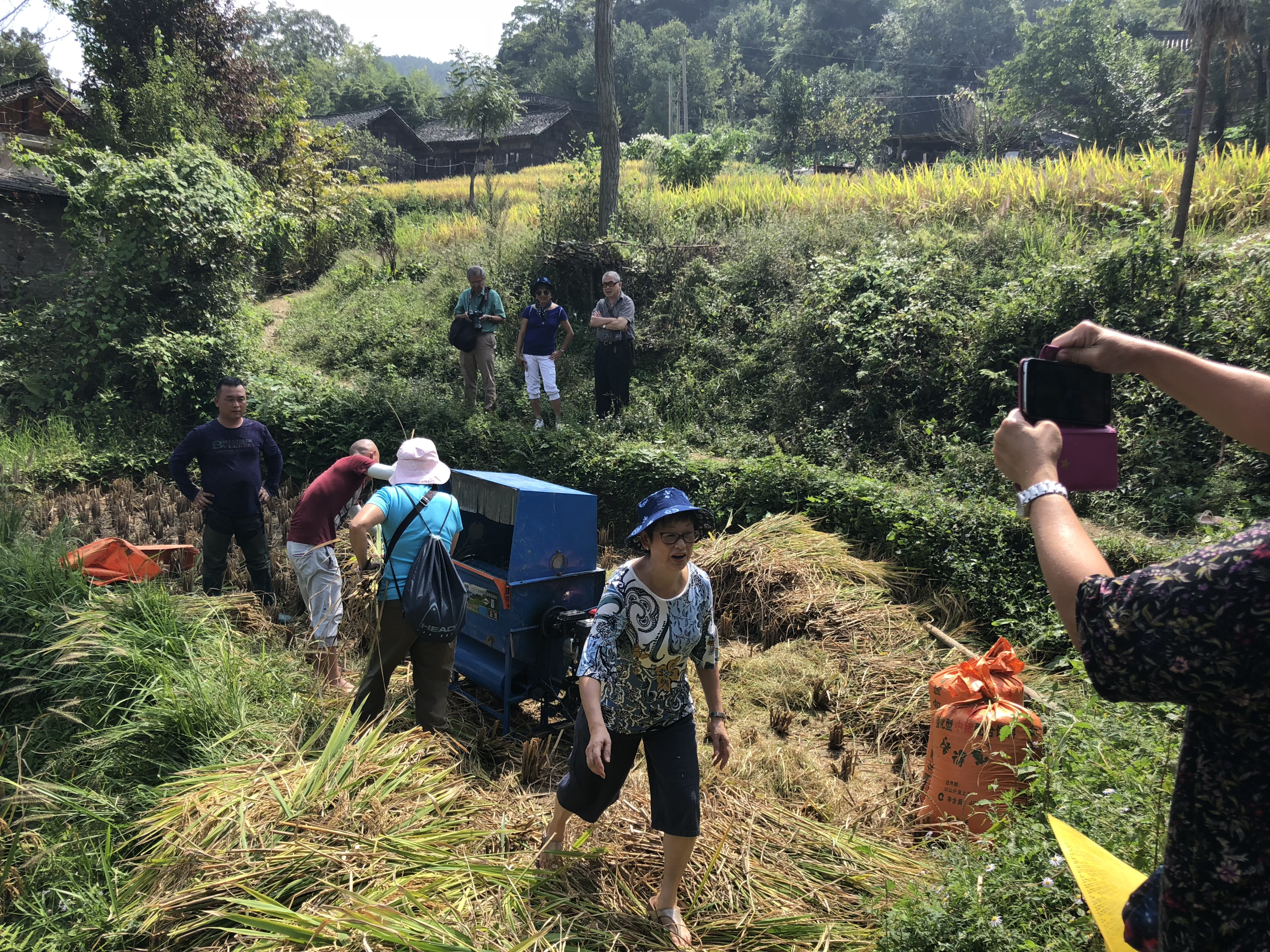 Farming in Guizhou ethnic villages