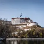 Lhasa potala palace and bird Tibet