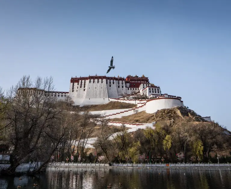 Lhasa potala palace and bird Tibet