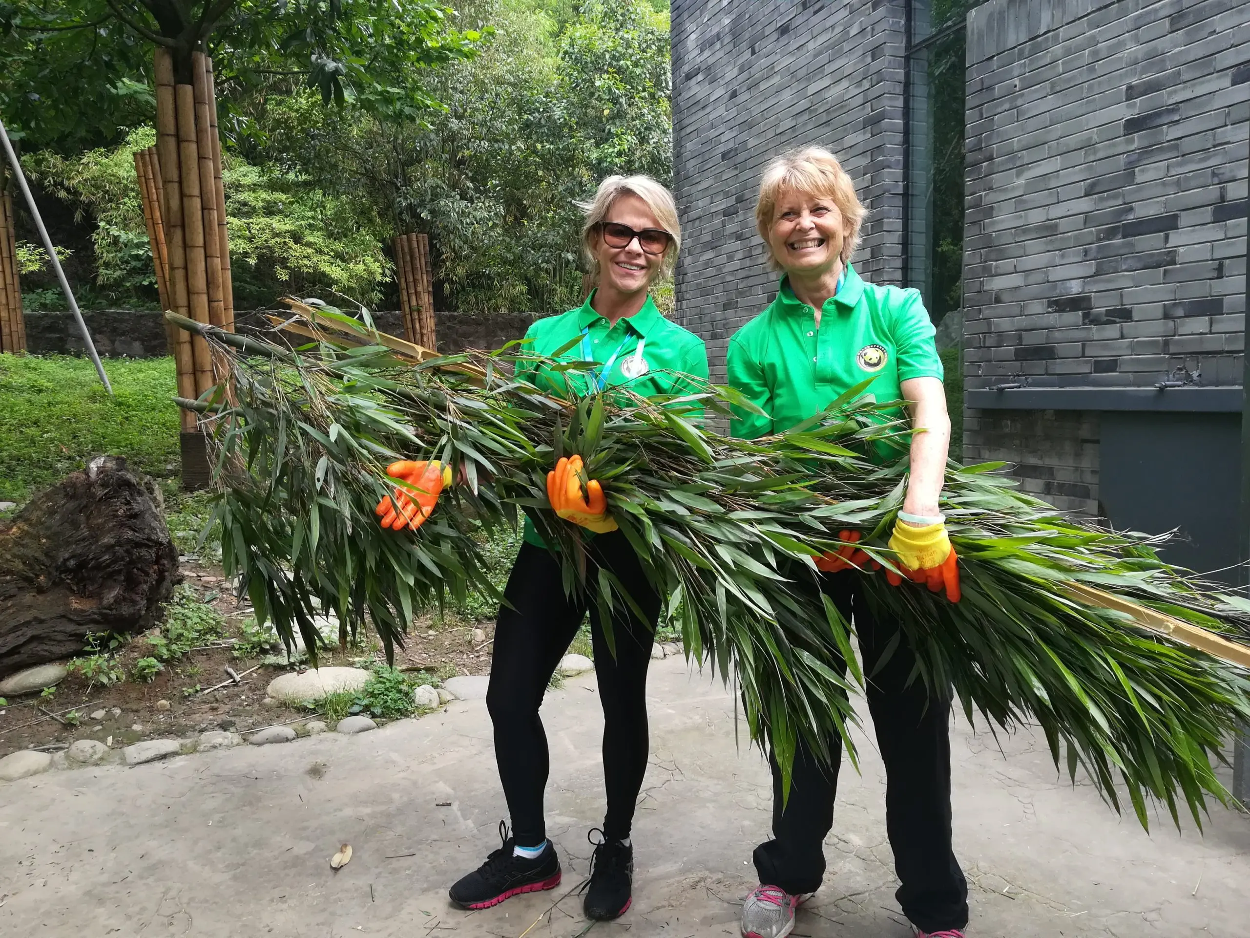 Panda Volunteer Program