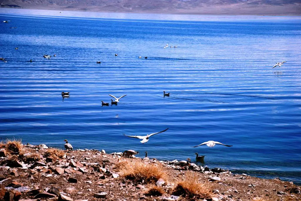 Pangong-tso Lake