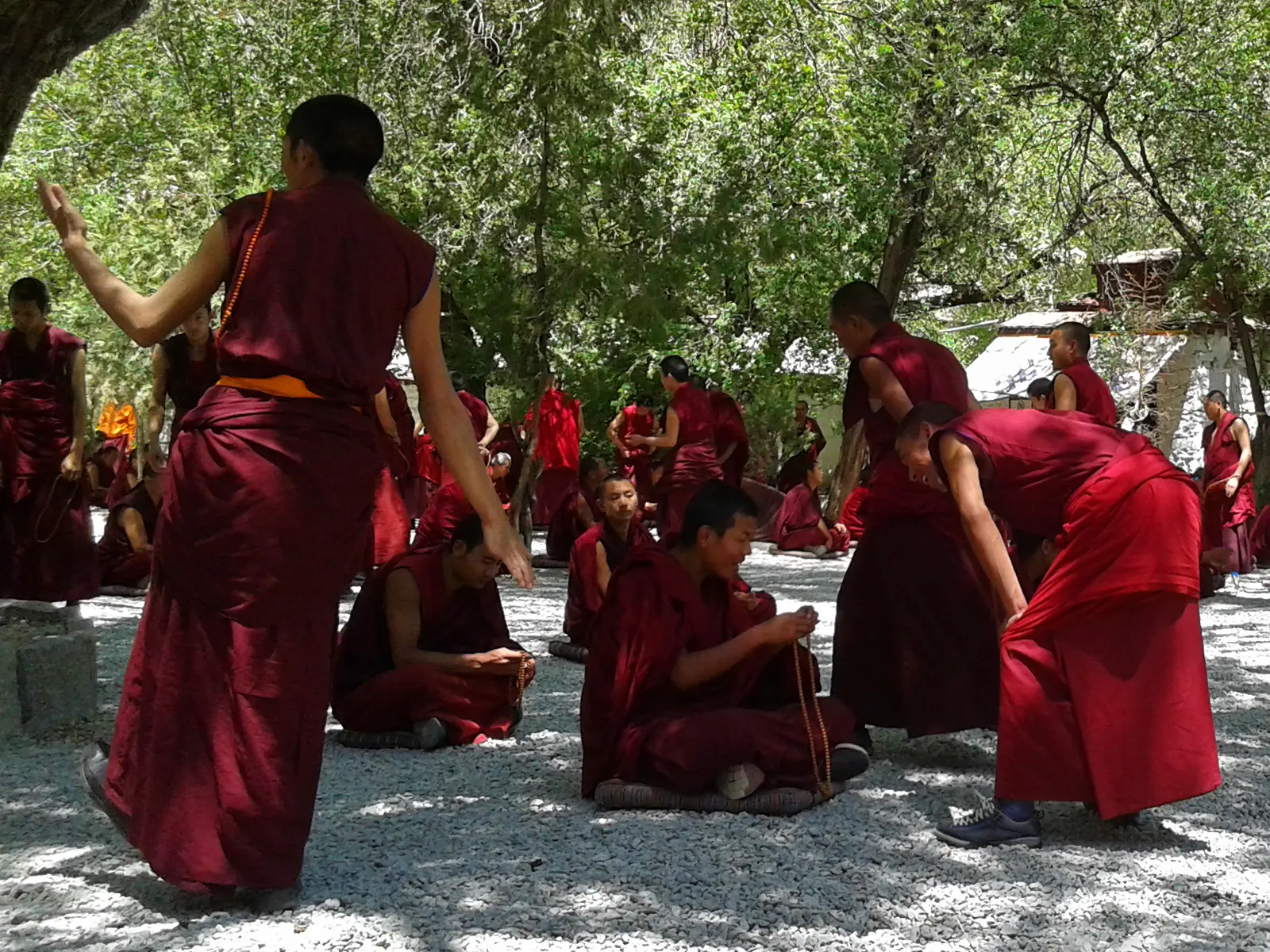 Sera monastery monks debate summer