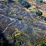 Bada village Yuanyang