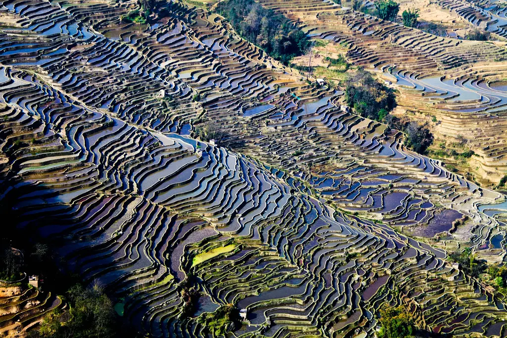Bada village Yuanyang