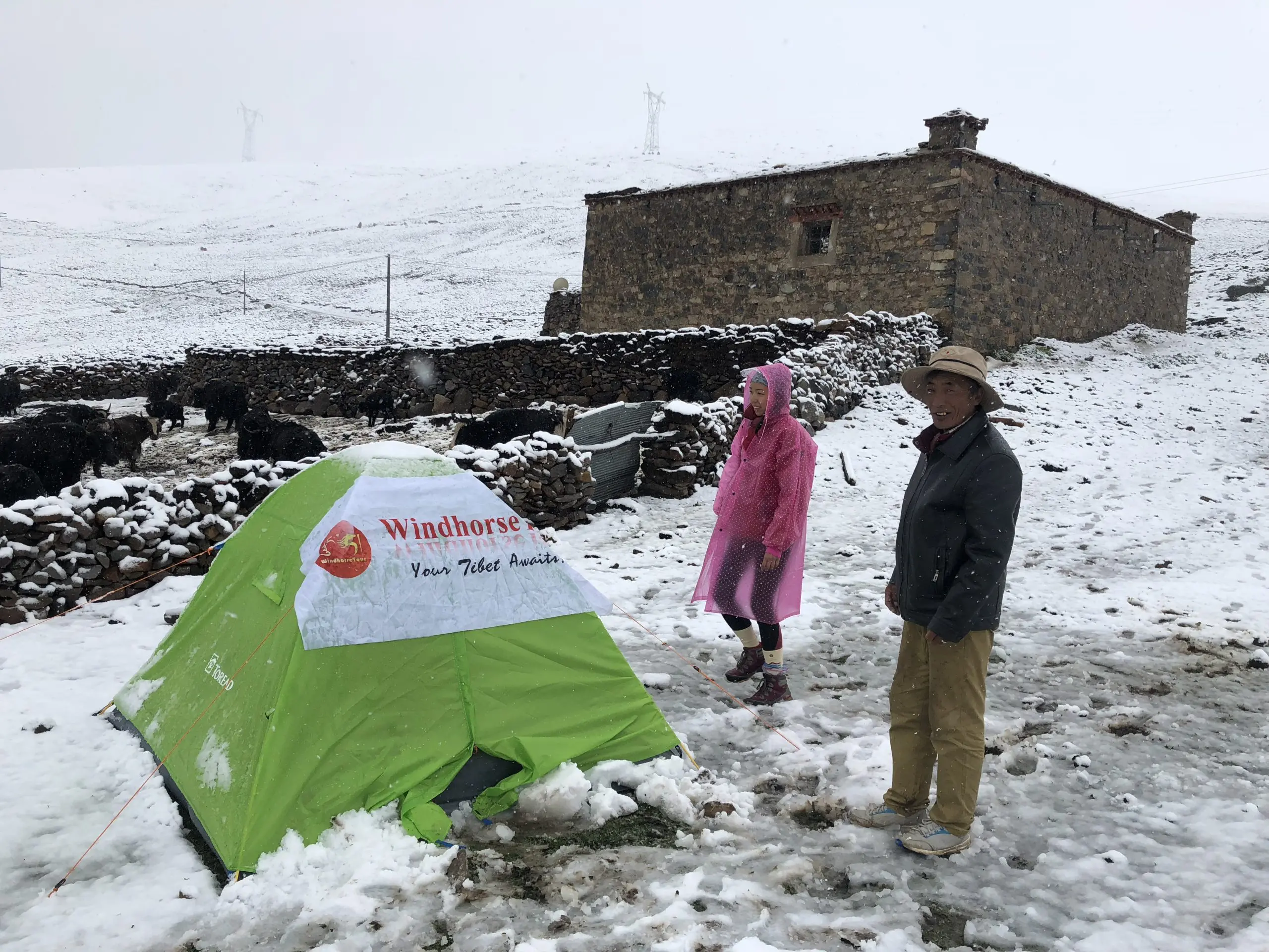 Tsurphu trek camping