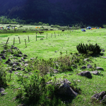 Campsite at Dacaopo (Gexi grassland)
