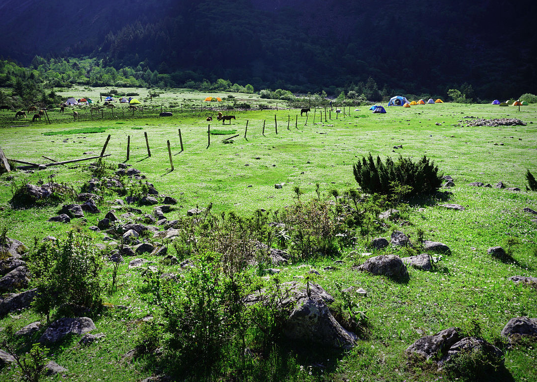 Campsite at Dacaopo (Gexi grassland)
