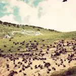 Lhasa Drigung Til Monastery & Tidrum Hot Spring Tour