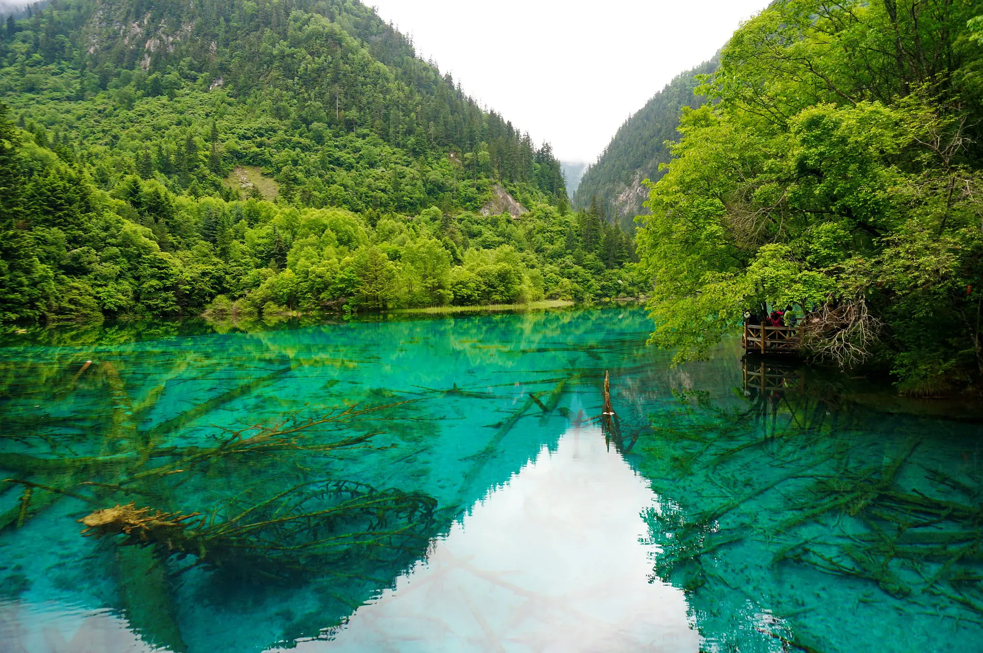 Jjiuzhaigou Tours