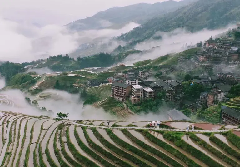Longsheng Rice terraces in a raining day