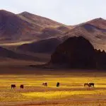 Paryang Grassland