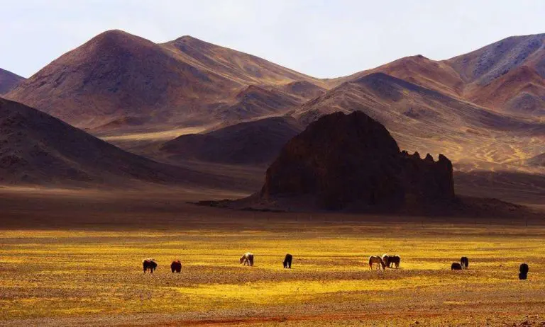 Paryang Grassland