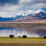 Pelku Tso Lake with Mount Shishapangma, Tibet