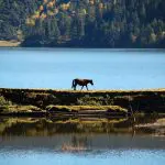 Beautiful Pudacuo National Park Shangri la