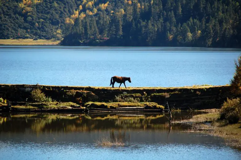 Beautiful Pudacuo National Park Shangri la