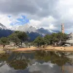 Spruce meadow in Jade Dragon Snow mountain