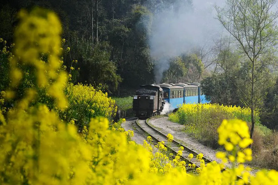 Qianwei steam train and Mount Emei tour
