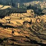 Tiger mouth village sunset