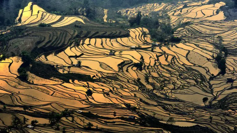 Tiger mouth village sunset