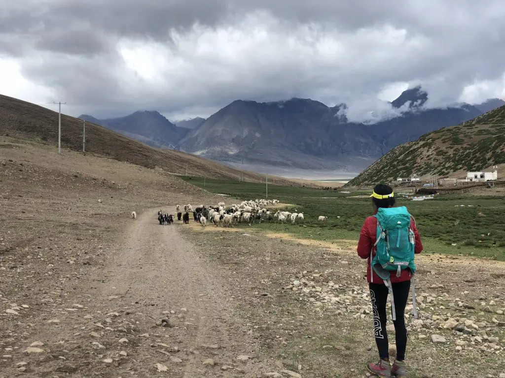 trek to Dorjiling at the Tsurphu to Yangbachen Trek in Tibet