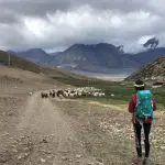 Tsurphu trek to Dorjiling Tibet