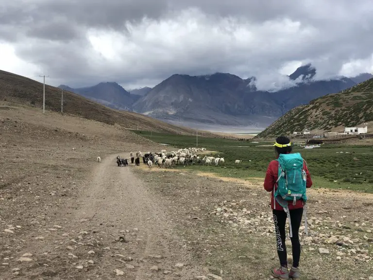 Tsurphu trek to Dorjiling Tibet