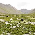 Trek from Ganden to Samye Tibet
