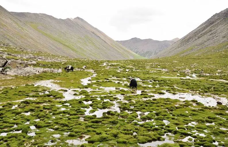 Trek from Ganden to Samye Tibet