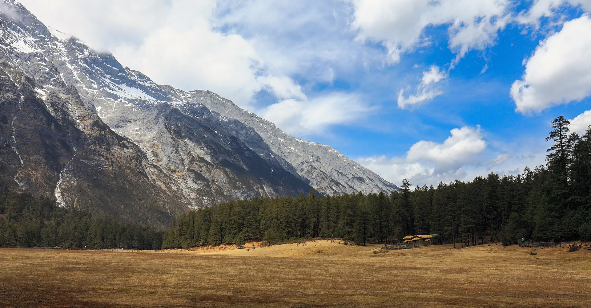 Yak meadow at Jade Dragon mountain