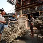 Bark used for tradition paper making in Shiqiao village