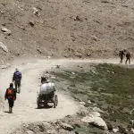 Trekking to EBC with donkey carrying the luggage