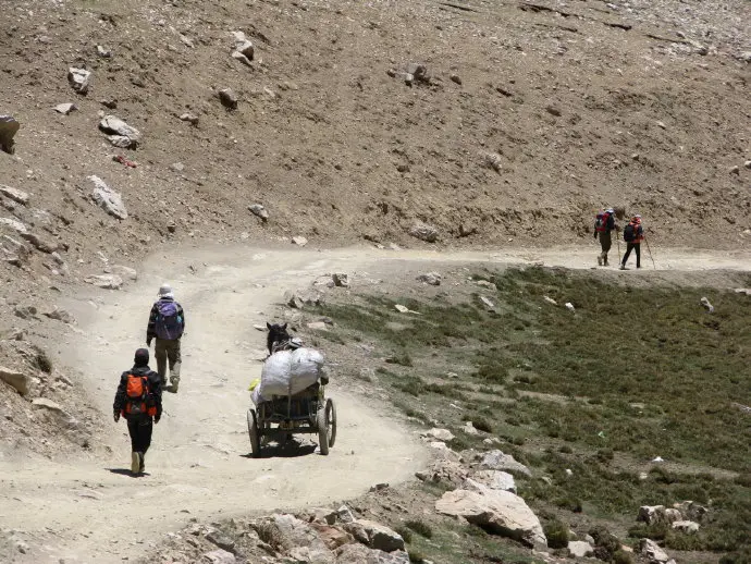 Trekking to EBC with donkey carrying the luggage