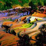 beautiful Jiabang Rice Terraces in Guizhou