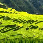 Guizhou Congjiang Jiabang rice terraces