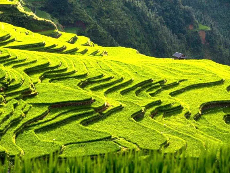Guizhou Congjiang Jiabang rice terraces