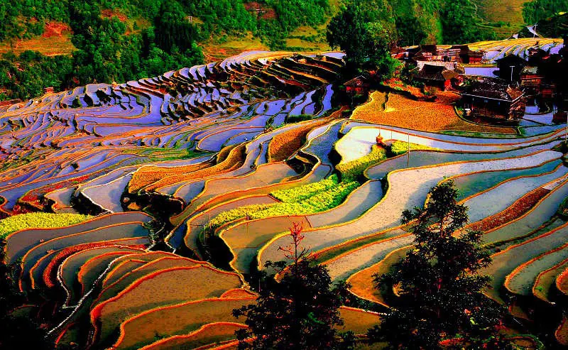 beautiful Jiabang Rice Terraces in Guizhou